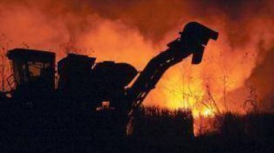 La quema contin�a a pesar de los controles