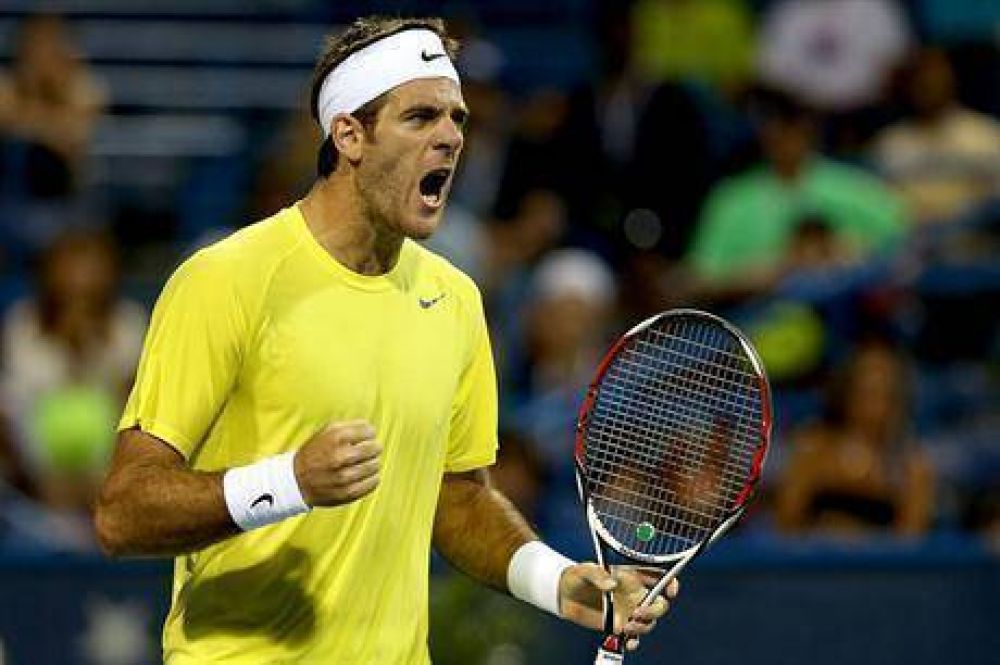 Tras la lluvia, Juan Mart�n del Potro reaccion� y se meti� en la final de Washington