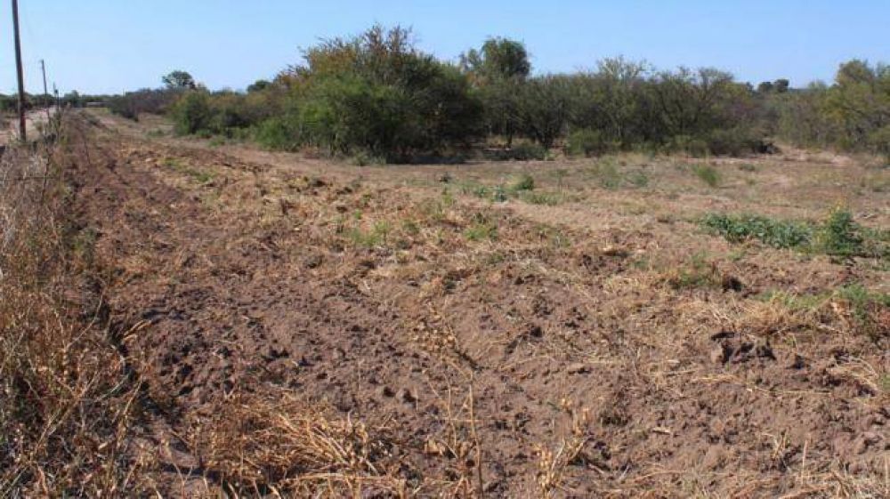 La Provincia impedir�a el desmonte en zona con riego
