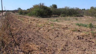 La Provincia impedir�a el desmonte en zona con riego