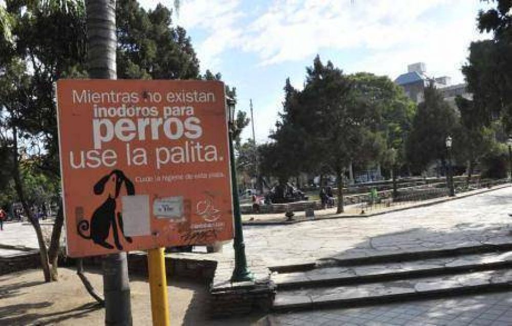 Caca de perro: que pague el que no junta