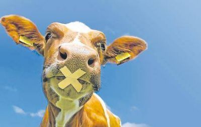 El precio de la carne casi no subi� en un a�o