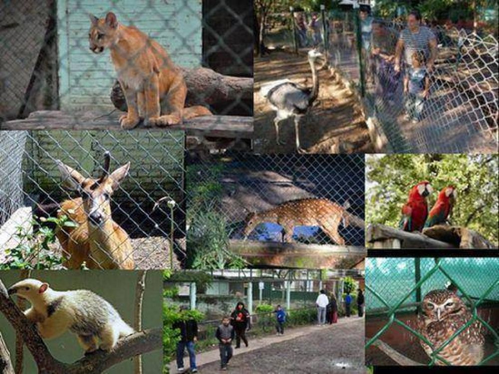 Se va el Zoo de la Costanera