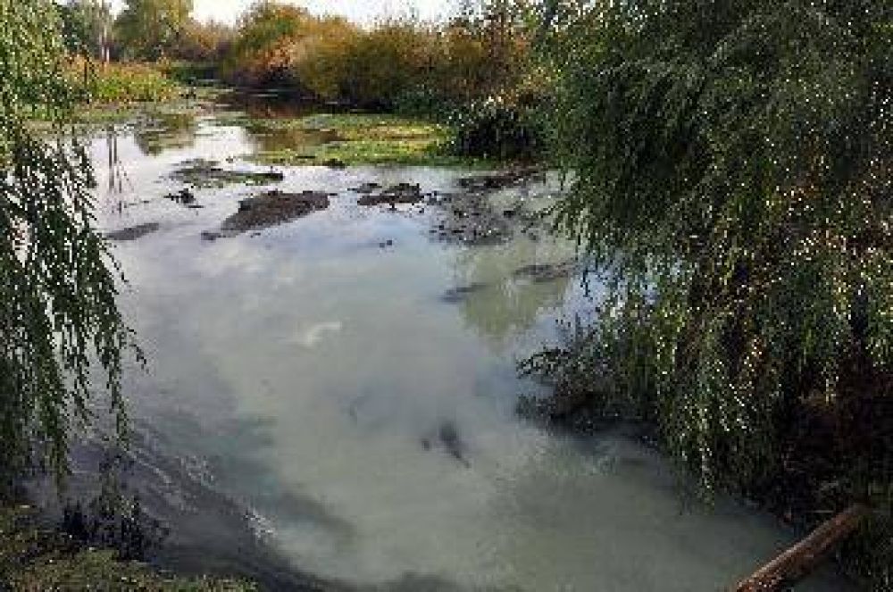 Piden actuar por grave contaminaci�n en el r�o Negro