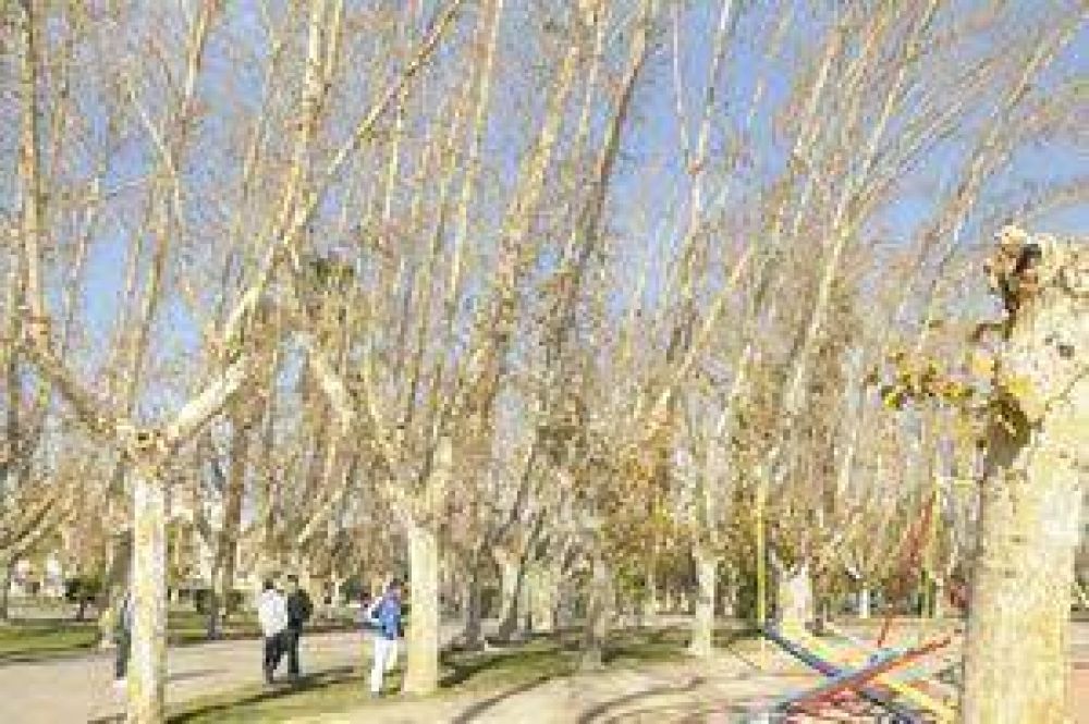 Proyectan riego por goteo para 12 mil ha.