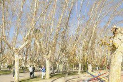 Proyectan riego por goteo para 12 mil ha.