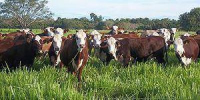 Por la sequ�a, Formosa entreg� solo el 80% de la Cuota Hilton