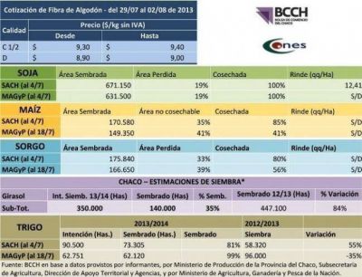 Productos agropecuarios: la segunda quincena de julio ya fue relevada por la BCCh y el Cones