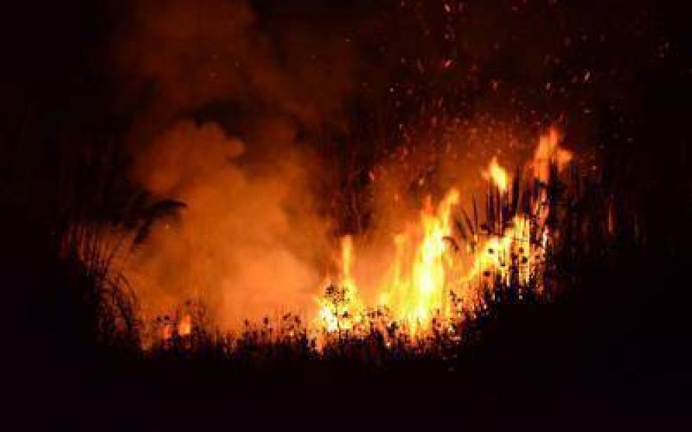 Esteban Echeverr�a: Incendio en la Laguna de Rocha