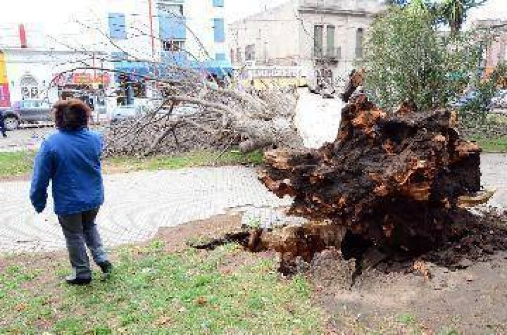 Las fuertes r�fagas derribaron una casa en Huincul
