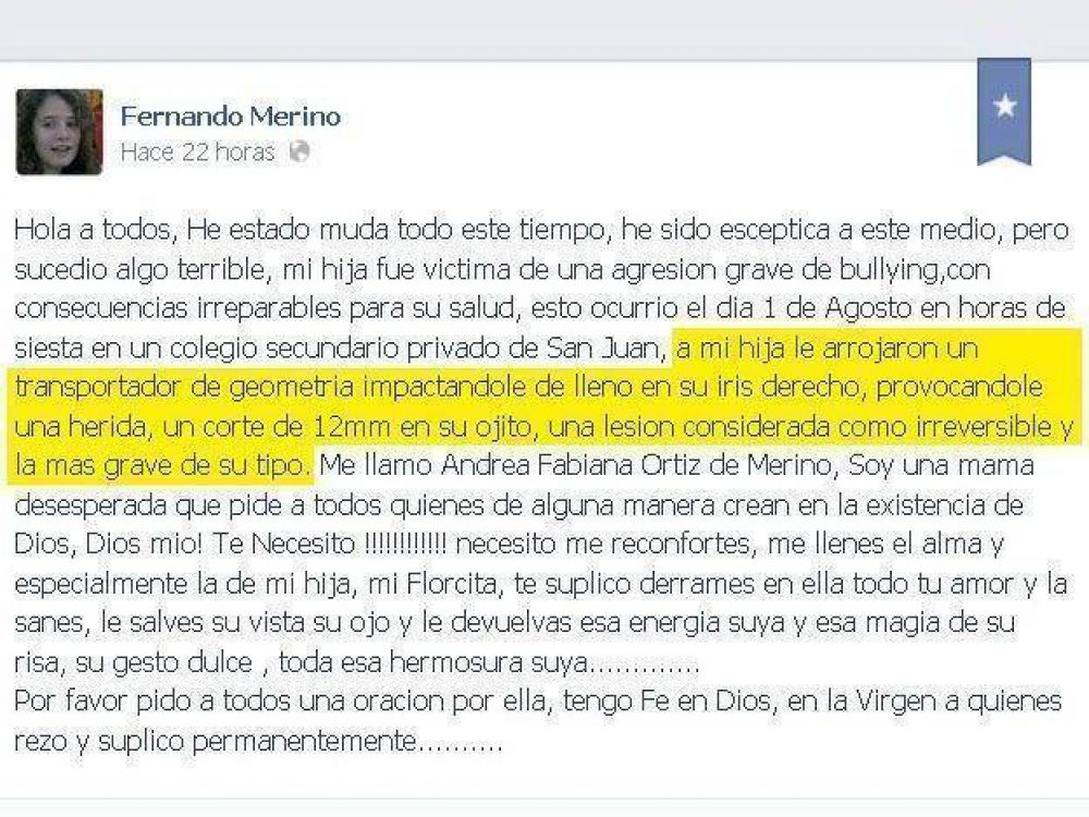 Bullying: el padre de una menor v�ctima pidi� a sus pares "hacer quilombo" si sus hijos son acosados