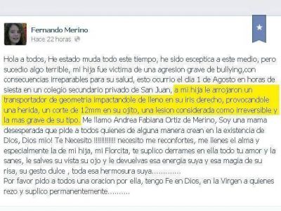 Bullying: el padre de una menor v�ctima pidi� a sus pares "hacer quilombo" si sus hijos son acosados