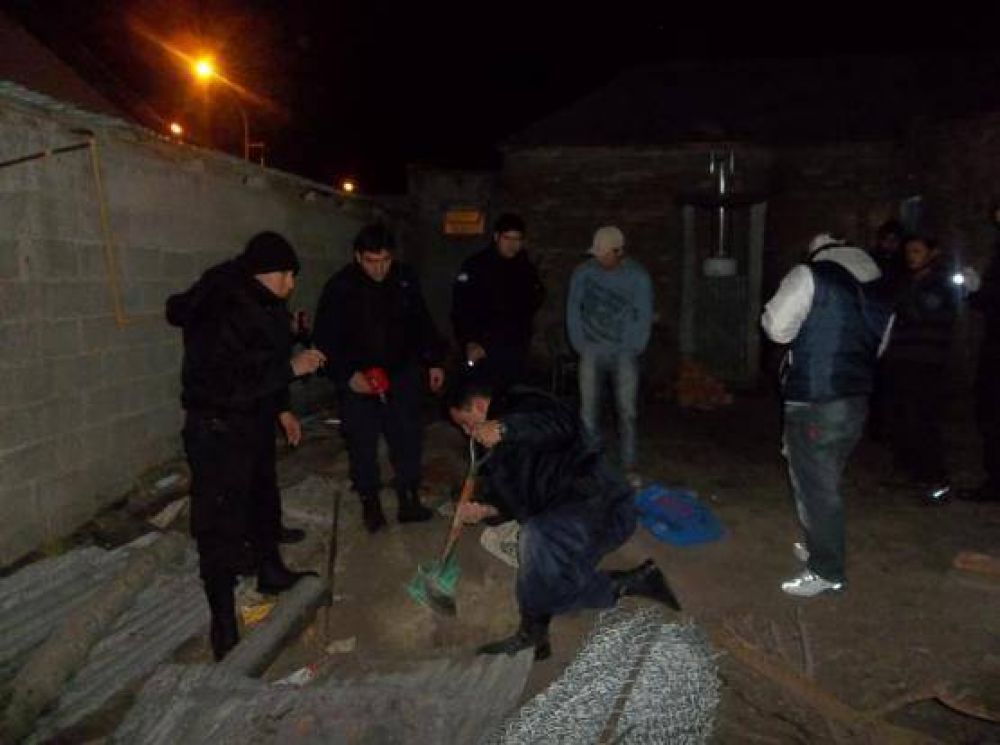 Se desbarat� banda delictiva que hurtaba ganado
