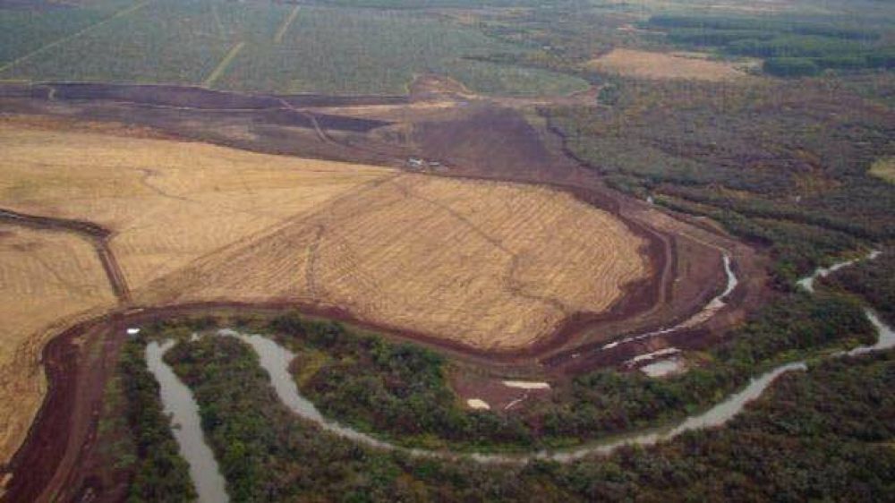 Reclaman por la demolici�n del terrapl�n de Iberapapel