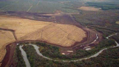 Reclaman por la demolici�n del terrapl�n de Iberapapel