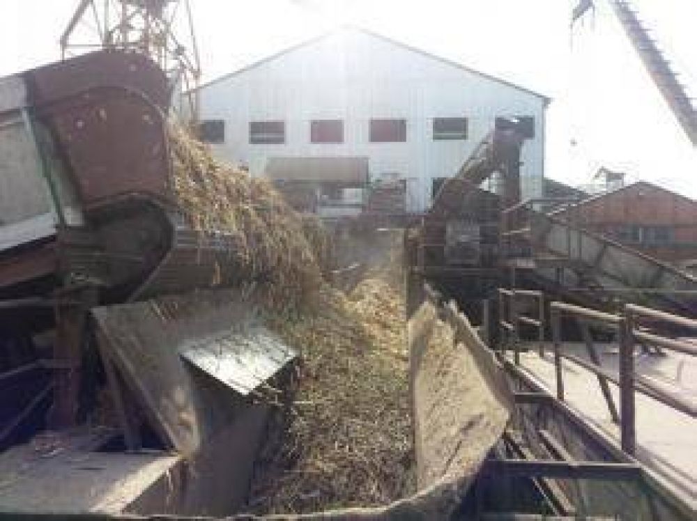 La agroindustria aportar�a $1.600 millones menos