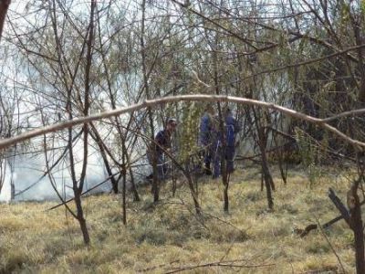Incendios en zonas rurales activaron el estrat�gico plan de manejo de fuego provincial 