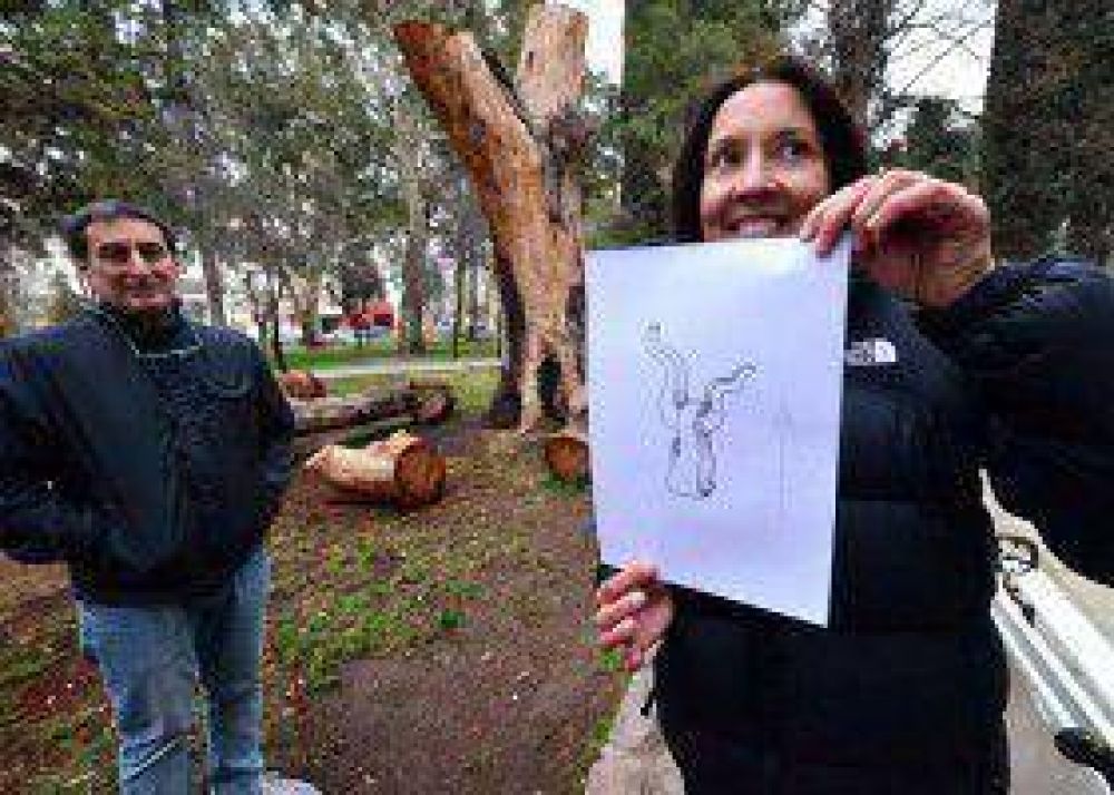 Un eucalipto escultural en la plaza Ministro Gonz�lez