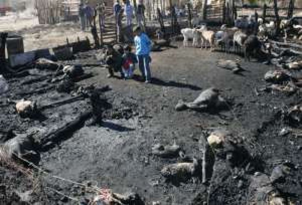 Un ni�o prendi� fuego a un corral y mat� a 80 cabras