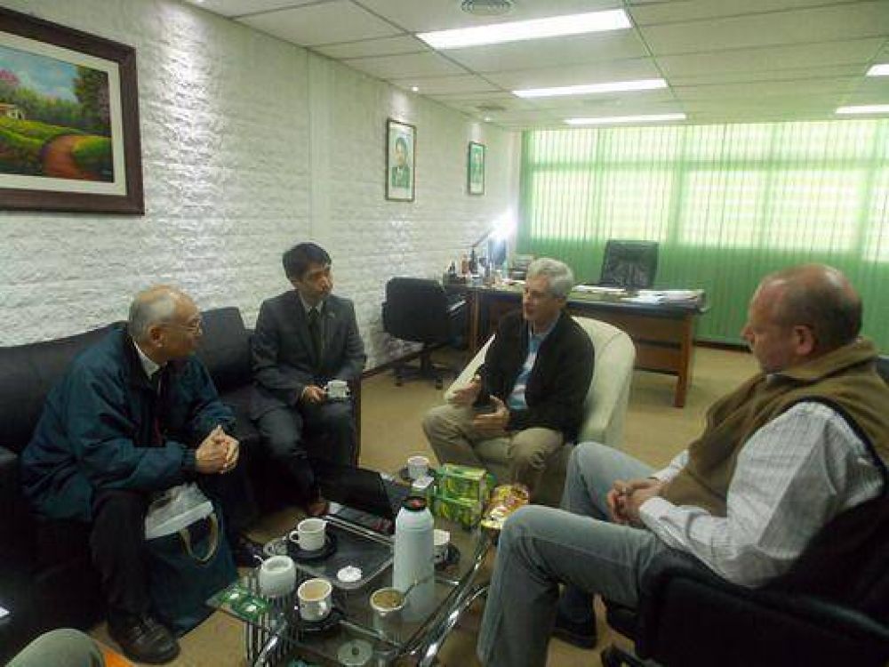 Exportaci�n de mate cocido a Jap�n: una posibilidad de crecer en el mercado