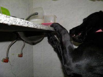 Hallan marihuana en las celdas