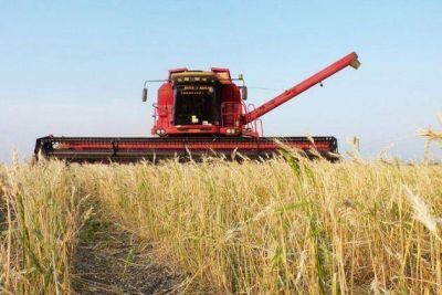 El gobierno otorgar� un mill�n de litros de gasoil a Federaci�n Agraria