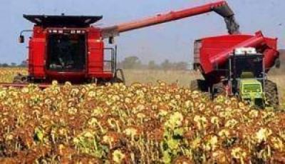 Cr�ditos: 860 productores presentaron su documentaci�n