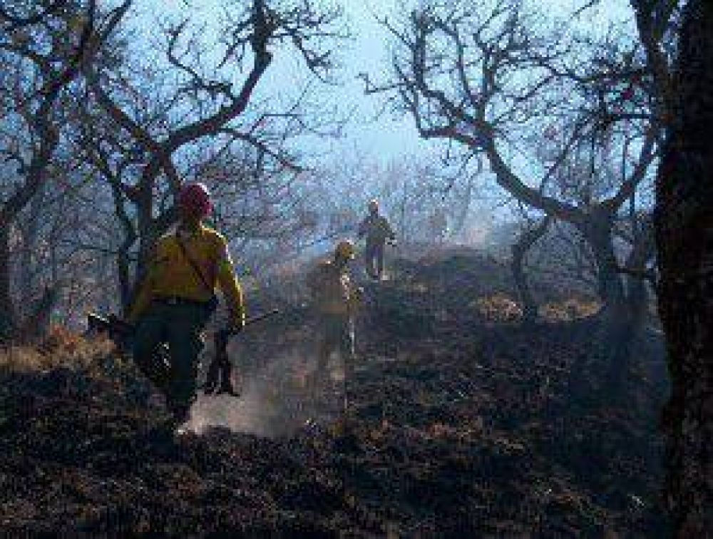 Incendios Forestales en Jujuy: ya se quemaron cerca de 2 mil hectreas de vegetacin en lo que va del 2013