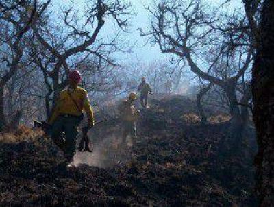 Incendios Forestales en Jujuy: ya se quemaron cerca de 2 mil hect�reas de vegetaci�n en lo que va del 2013
