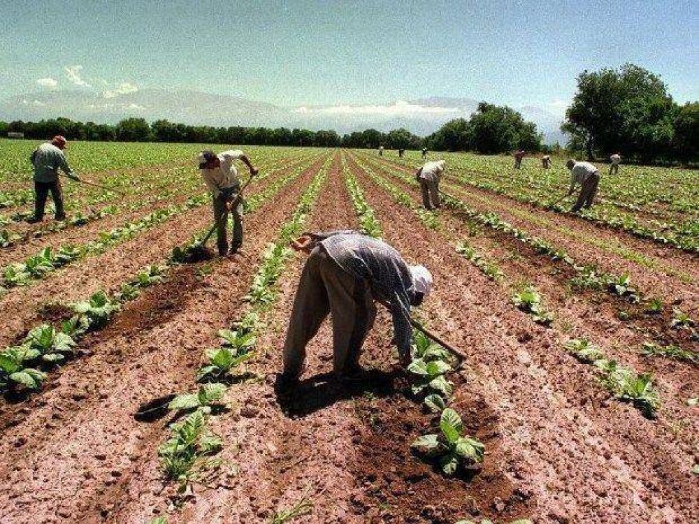 Apenas una de cada 50 empresas planea tomar empleados