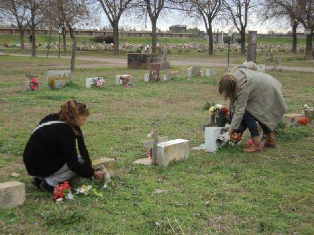 Contin�a el control de larvas de mosquitos en el cementerio 	  