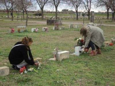 Contin�a el control de larvas de mosquitos en el cementerio 	  