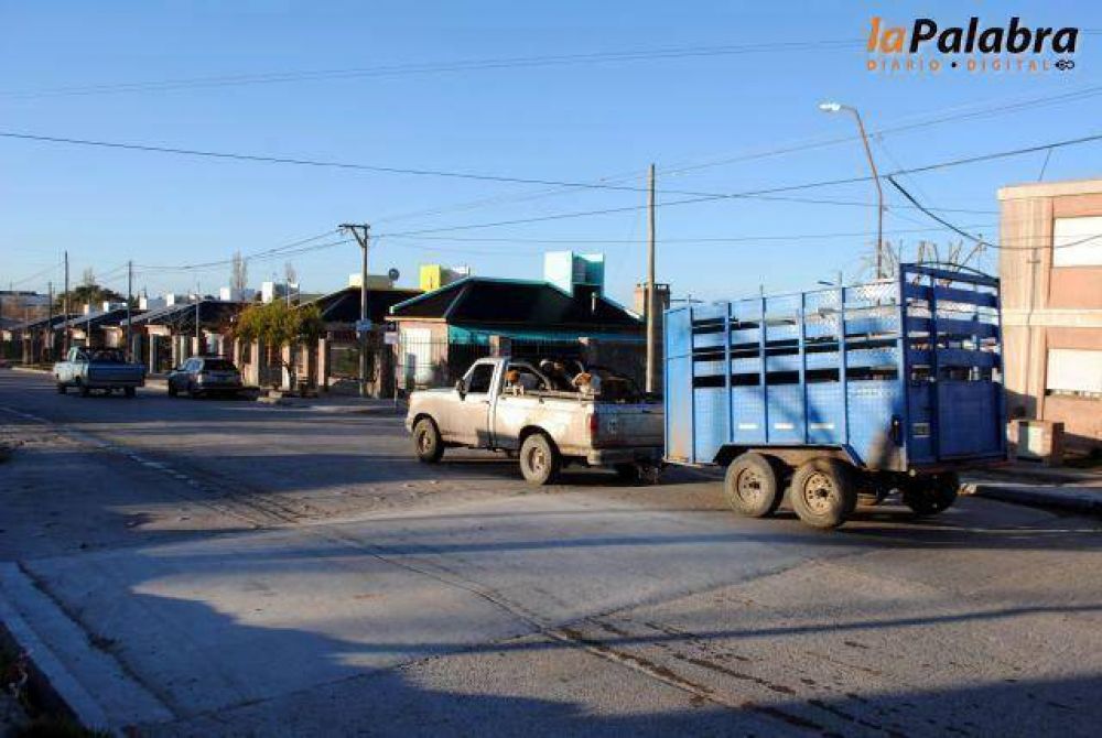 Arreglo de atenuador de velocidad