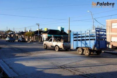Arreglo de atenuador de velocidad