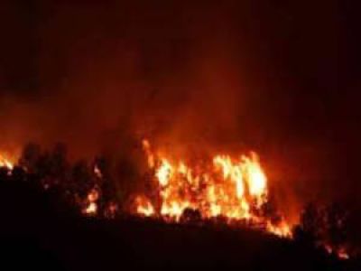 Merlo: evacuaron a 22 personas por un incendio