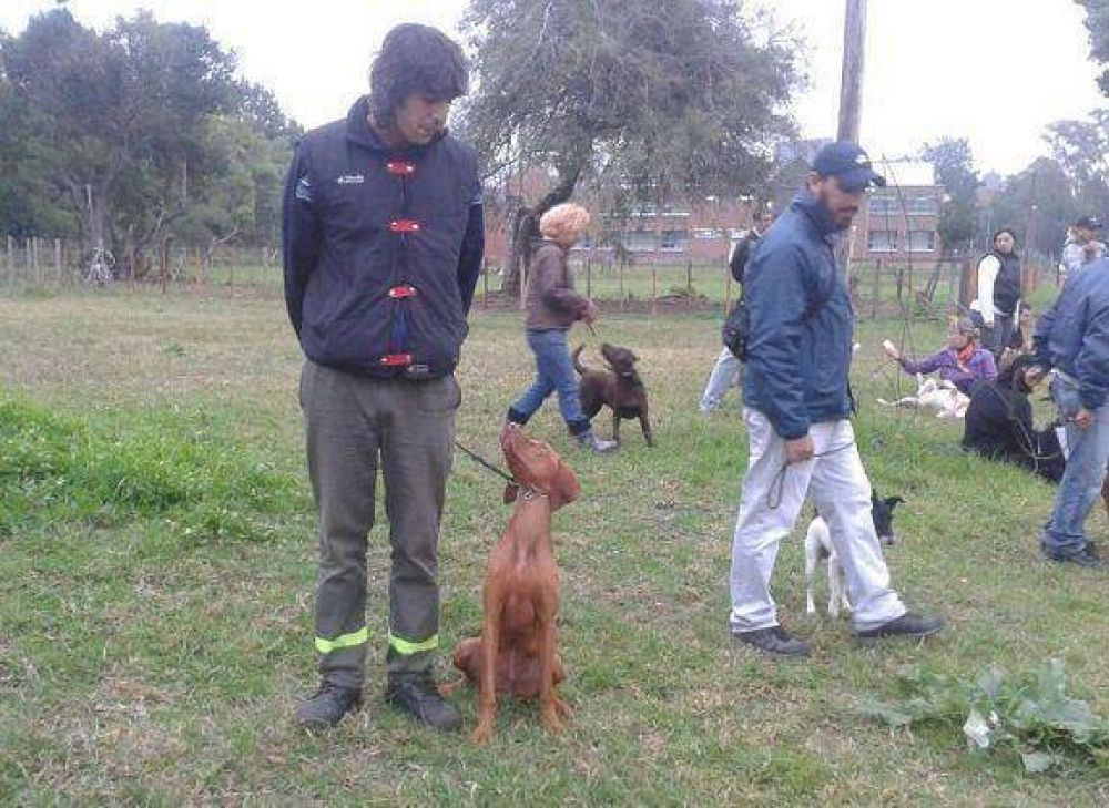 San Fernando ofrece talleres gratuitos de adiestramiento canino