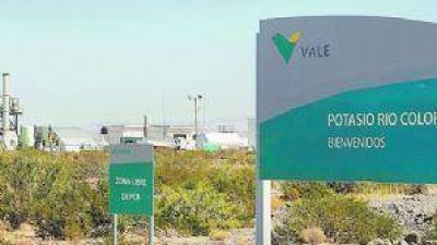 Luego de la salida de Vale, Techint asumir�a el proyecto potasio R�o Colorado