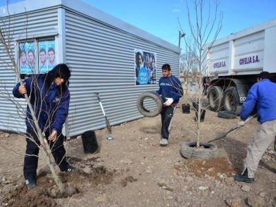 Operativos de limpieza y plantaci�n de la Comuna