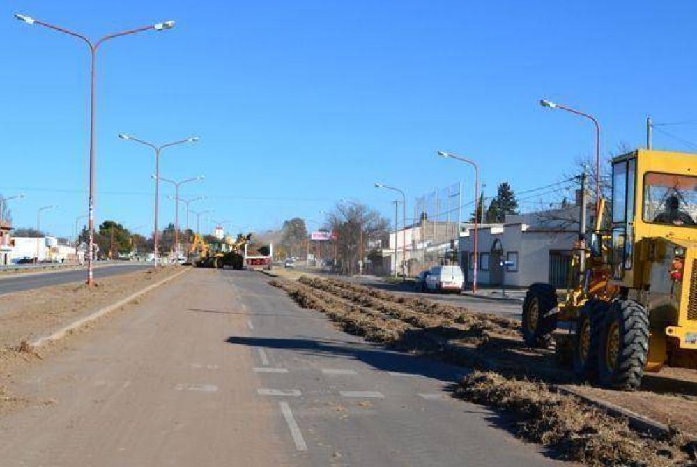 Realizan trabajos de nivelaci�n de canteros