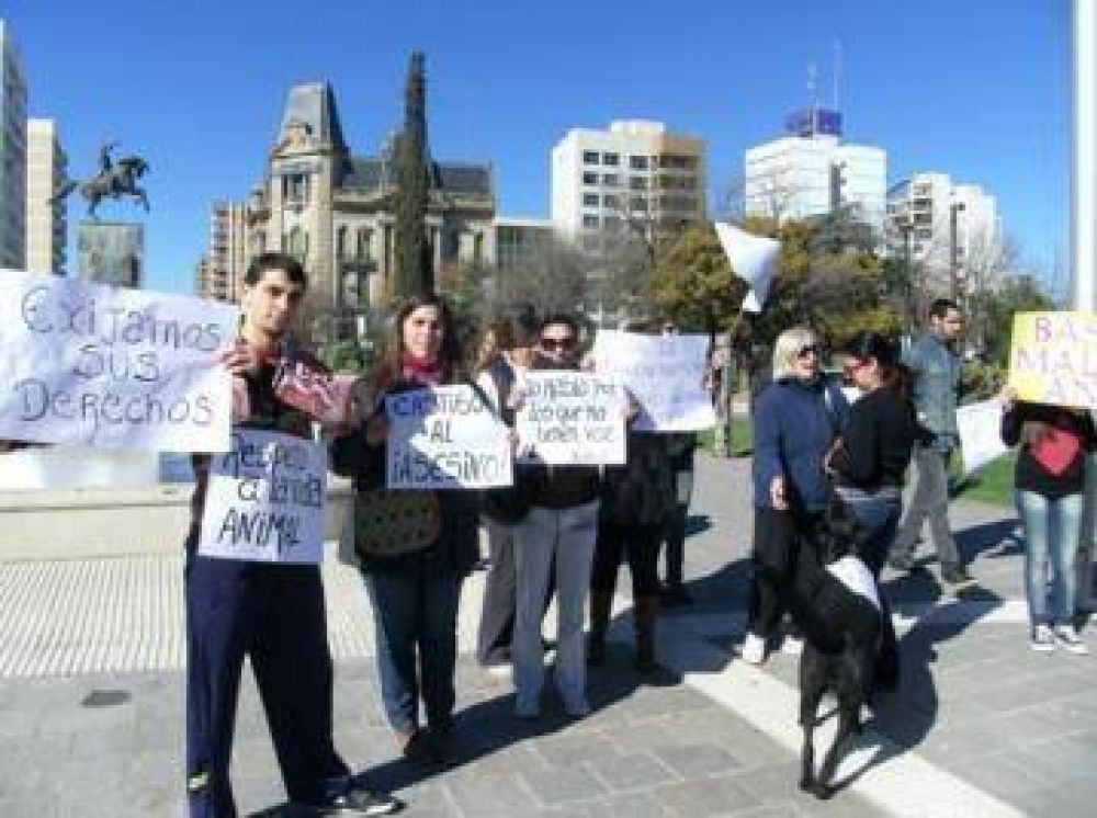 Aparecieron nuevos casos de envenenamiento de perros