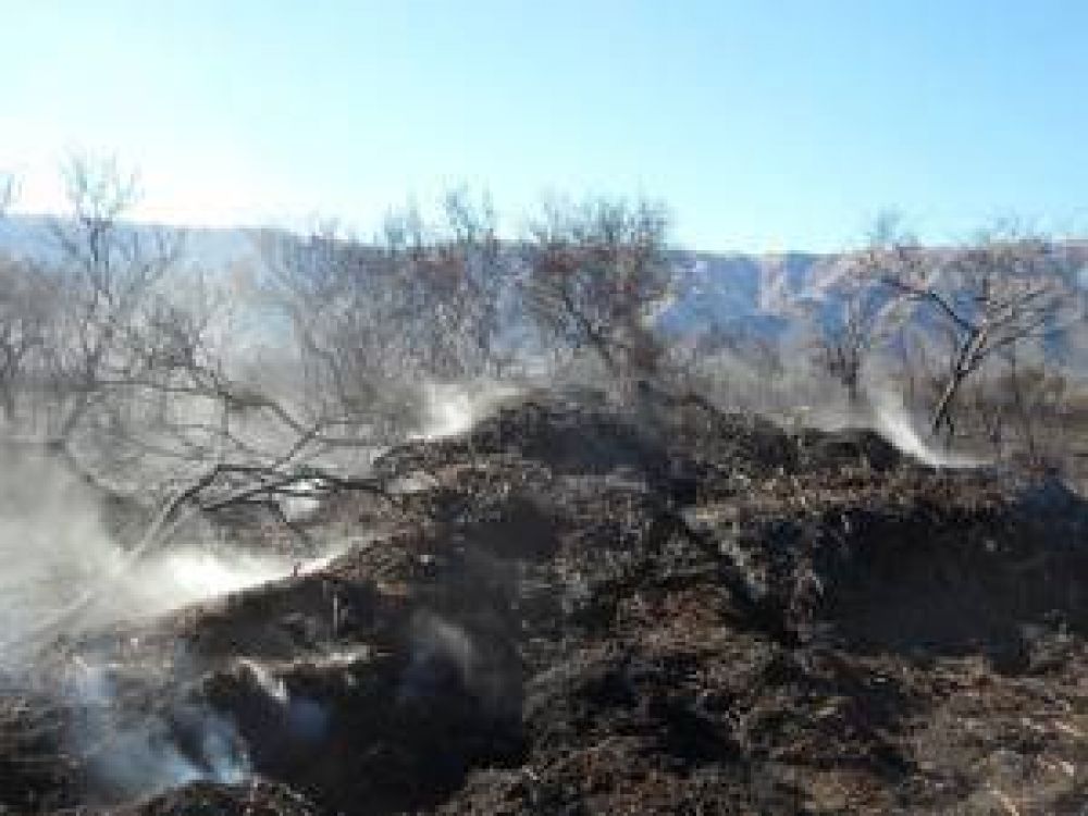 Un hombre habr�a causado un incendio por venganza