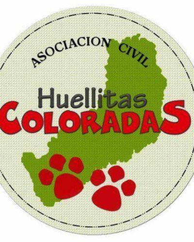 Huellitas Coloradas va por m�s adopciones de mascotas