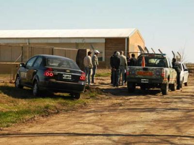 Operativo inspectivo del Ministerio de Trabajo en un criadero de cerdo 