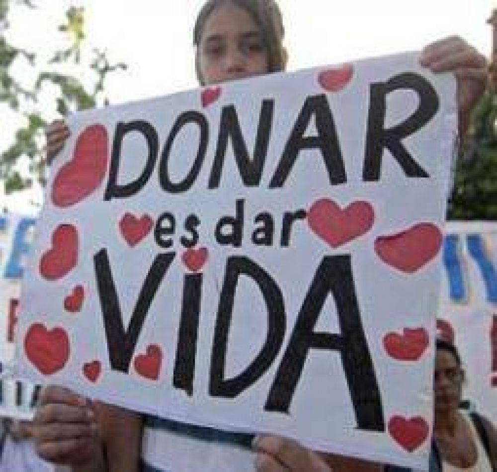En las PASO se puede expresar la voluntad de donar �rganos