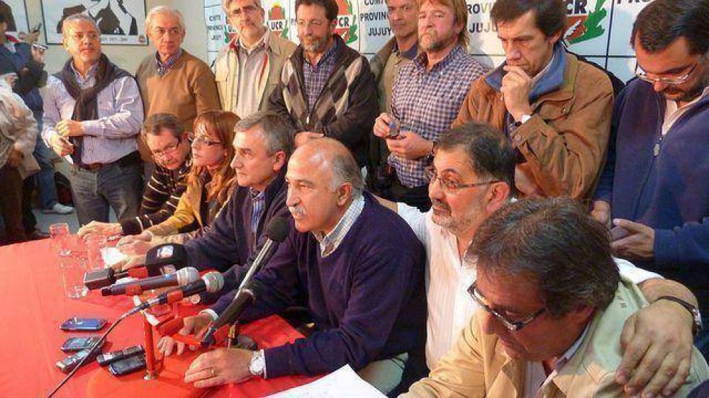Jujuy: frente radical/socialista festej� triunfo