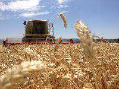 Cerealeras liquidaron m�s de 500 millones de d�lares