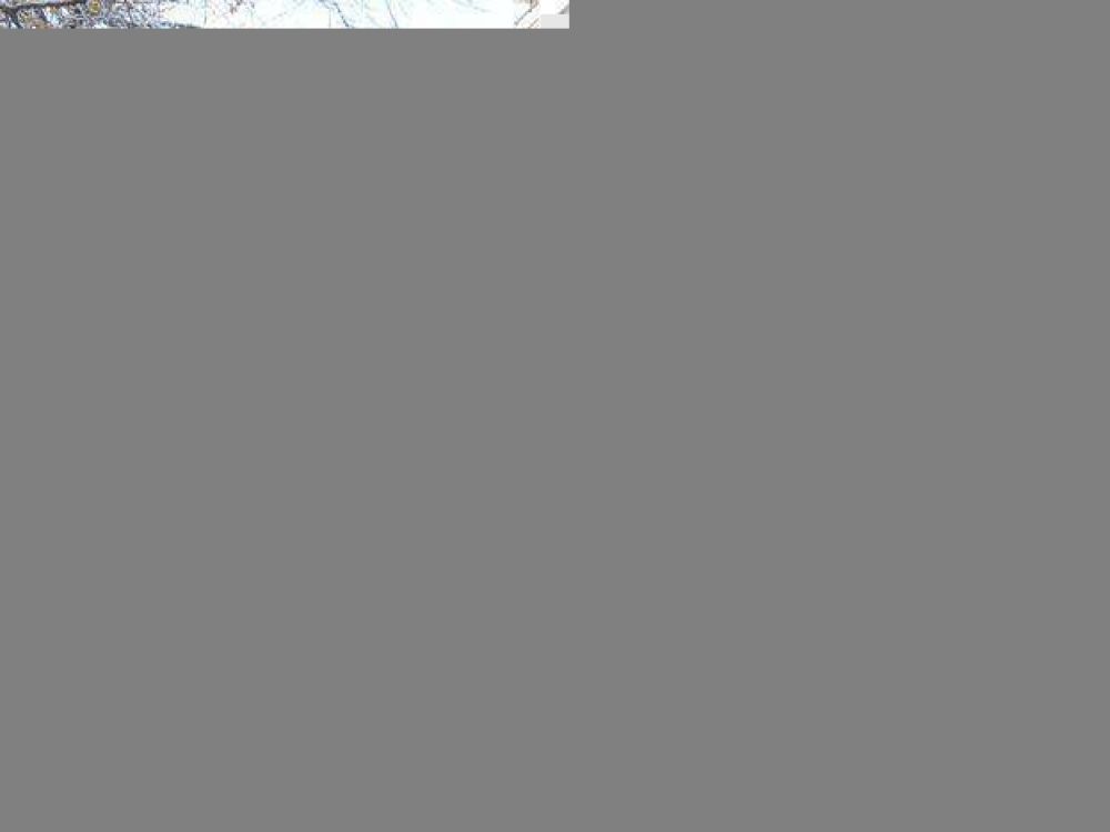 Anunciaron grandes probabilidades de nevadas en el llano provincial para las pr�ximas horas