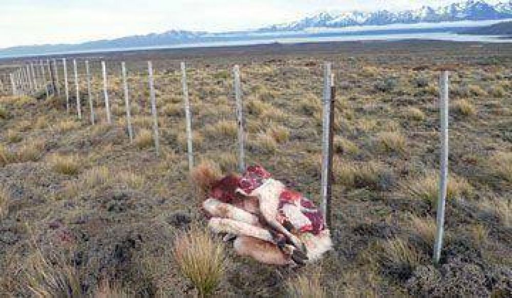 Dos cazadores son sorprendidos por un guardaparque