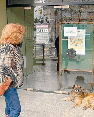 Alarma en el Banco Naci�n por la muerte de dos empleados