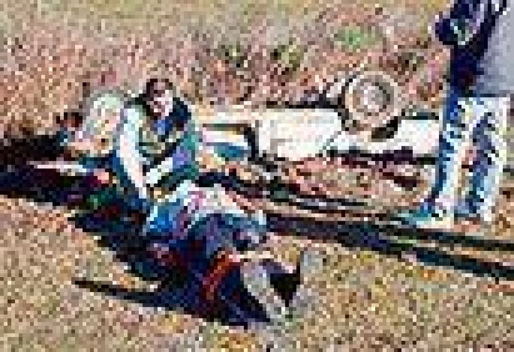 Volc� una camioneta cargada con zorros y liebres
